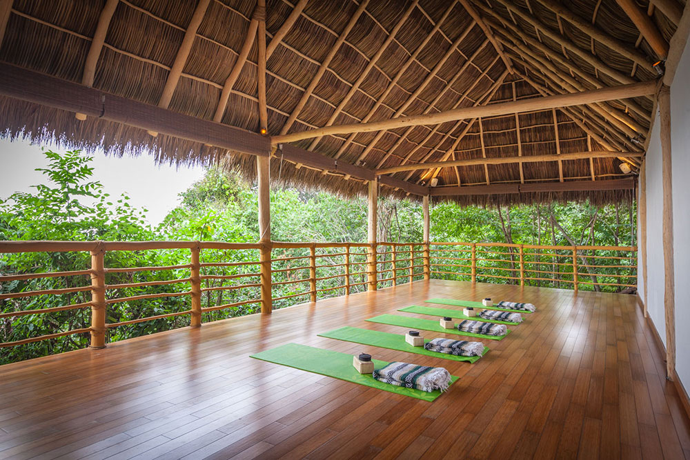 Xinalani Yoga Retreat in Mexico with Balu Yoga